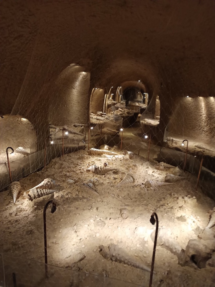 La Cave aux Coquillages