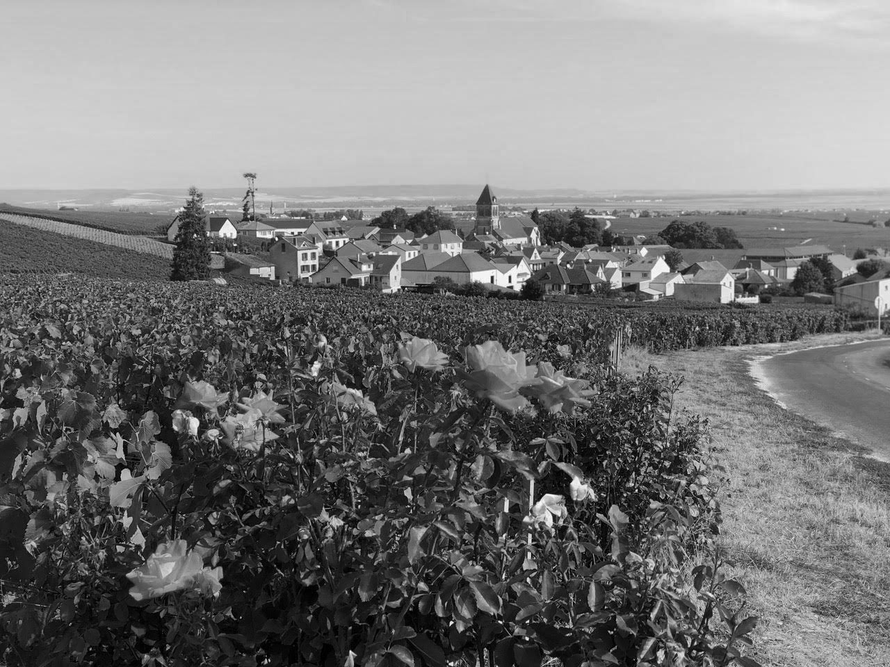 Champagne Klepka-Sausse