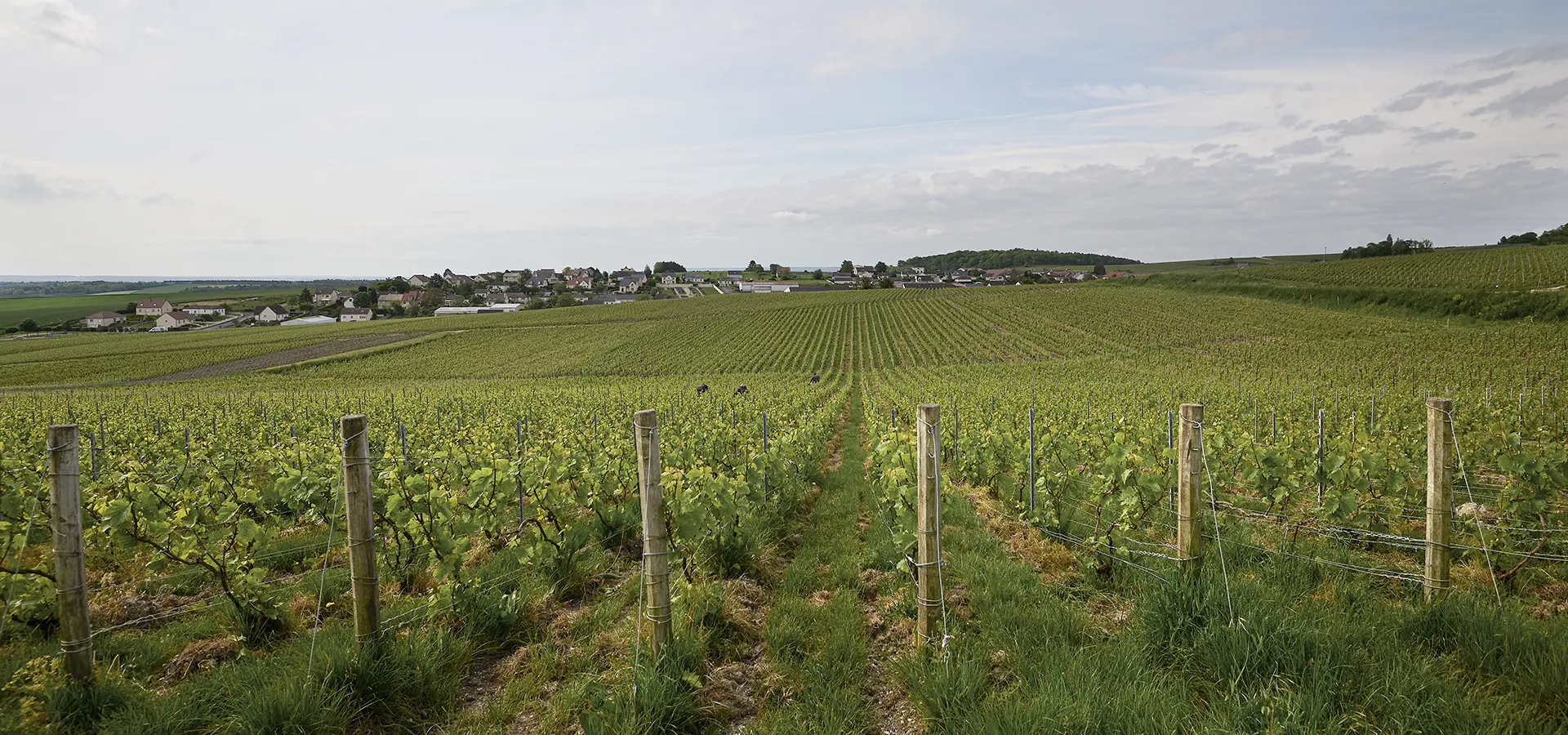 Champagne Charles Beaudouin