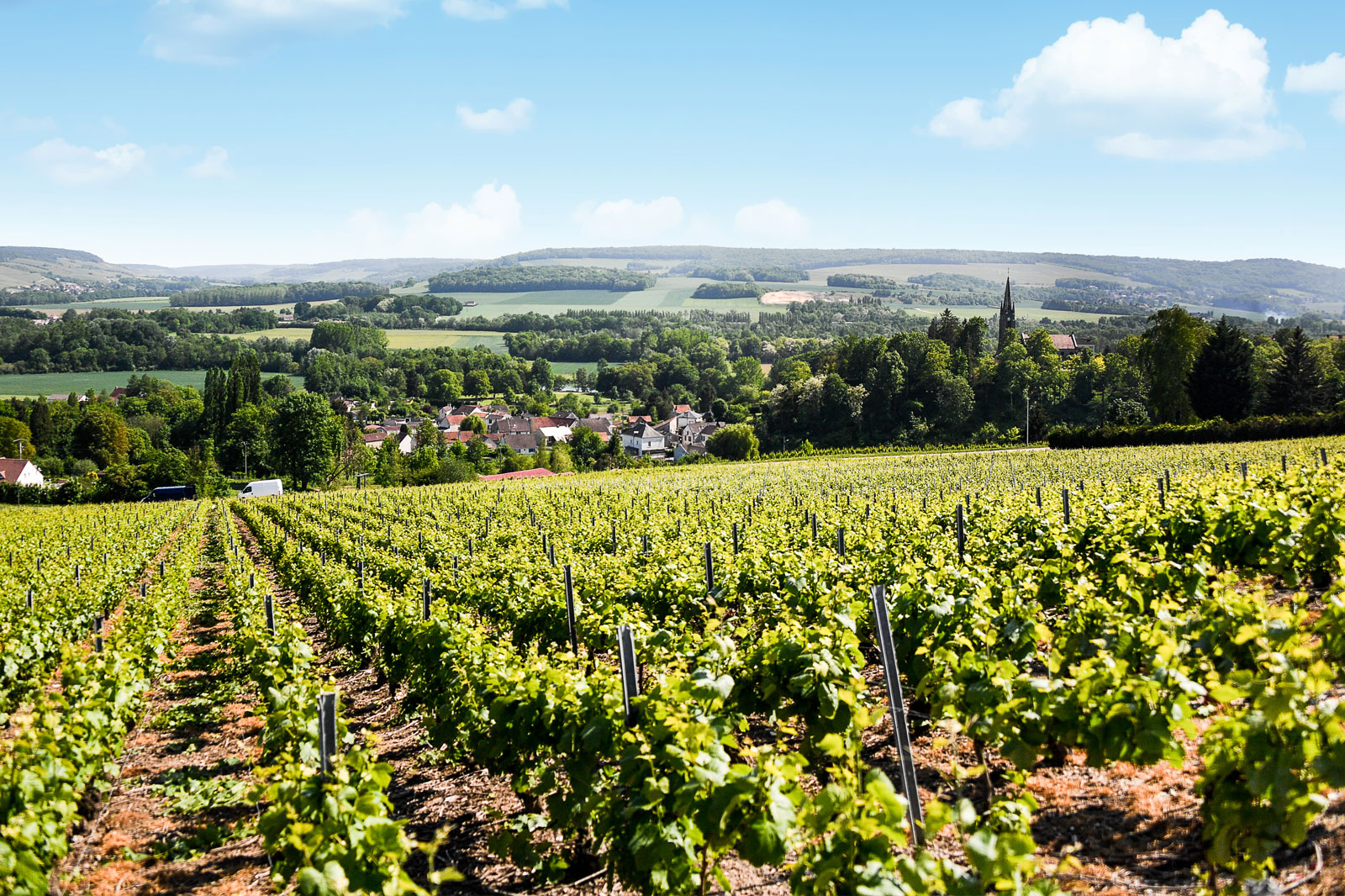 Champagne Figuet & Fils