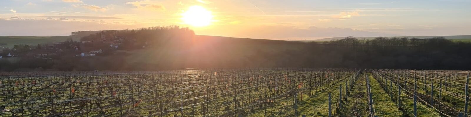 Champagne Vincent Bennezon