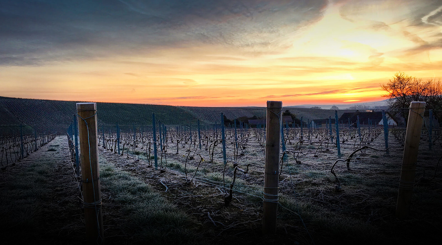 Champagne Pascal Lejeune