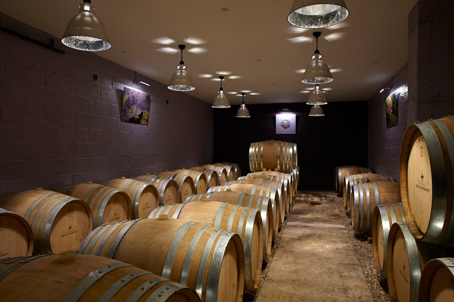 Kelderbezoek en proeverij - 1u