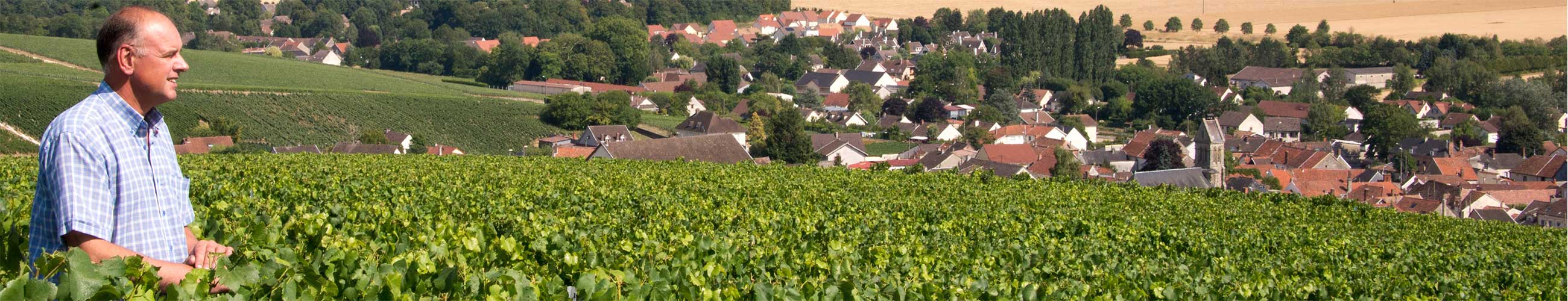 Champagne Dominique Crété