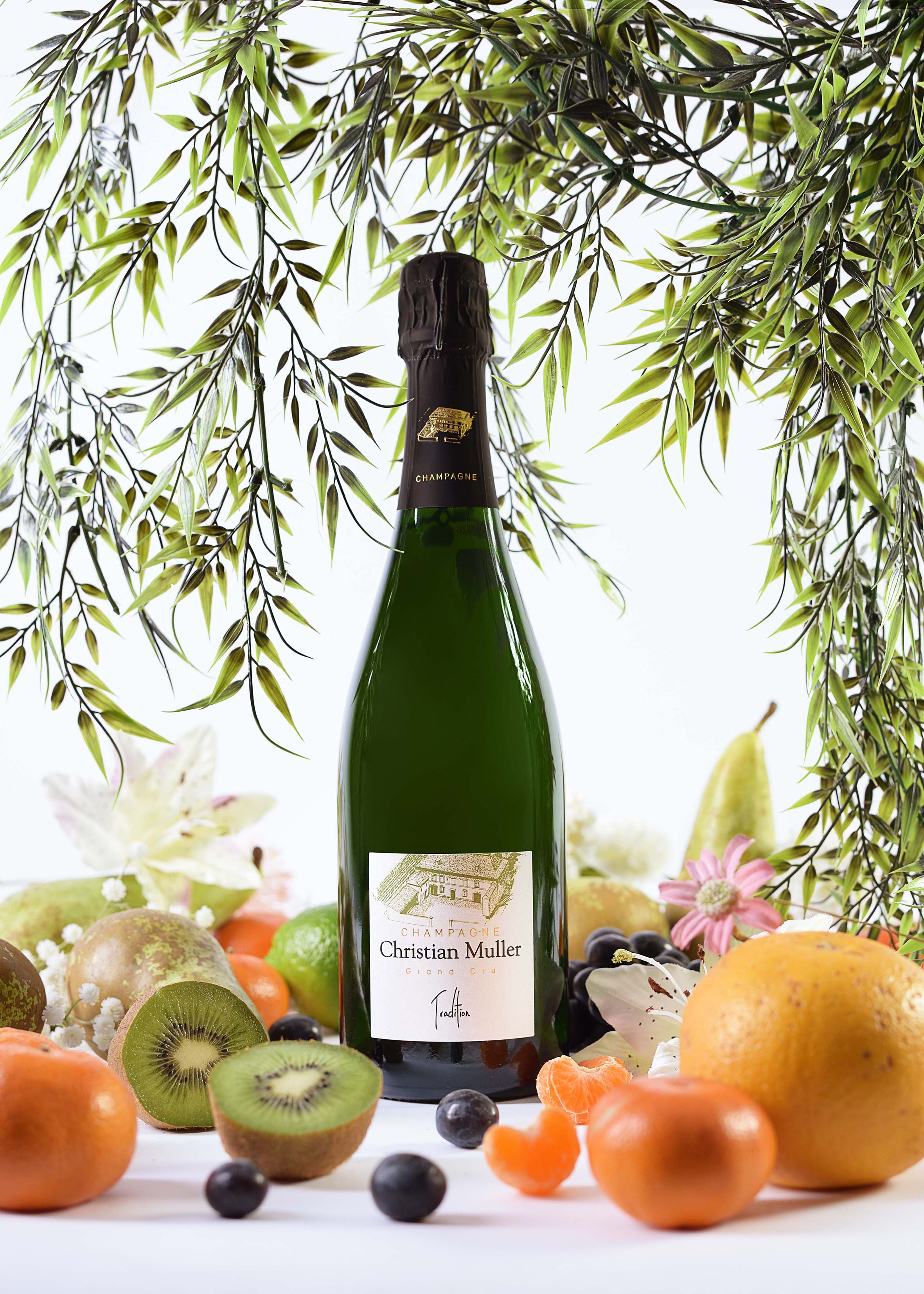 Champagne Brut Tradition